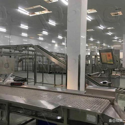 智造食代 食品整厂输送线设备的技术演进与系统集成